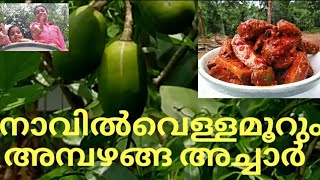 Hog plum pickle|Ampazhanga pickle|Primitive technology |അമ്പഴങ്ങ അച്ചാർ