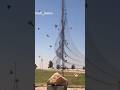 صيد طائر الحسون بالشبكة السماوية