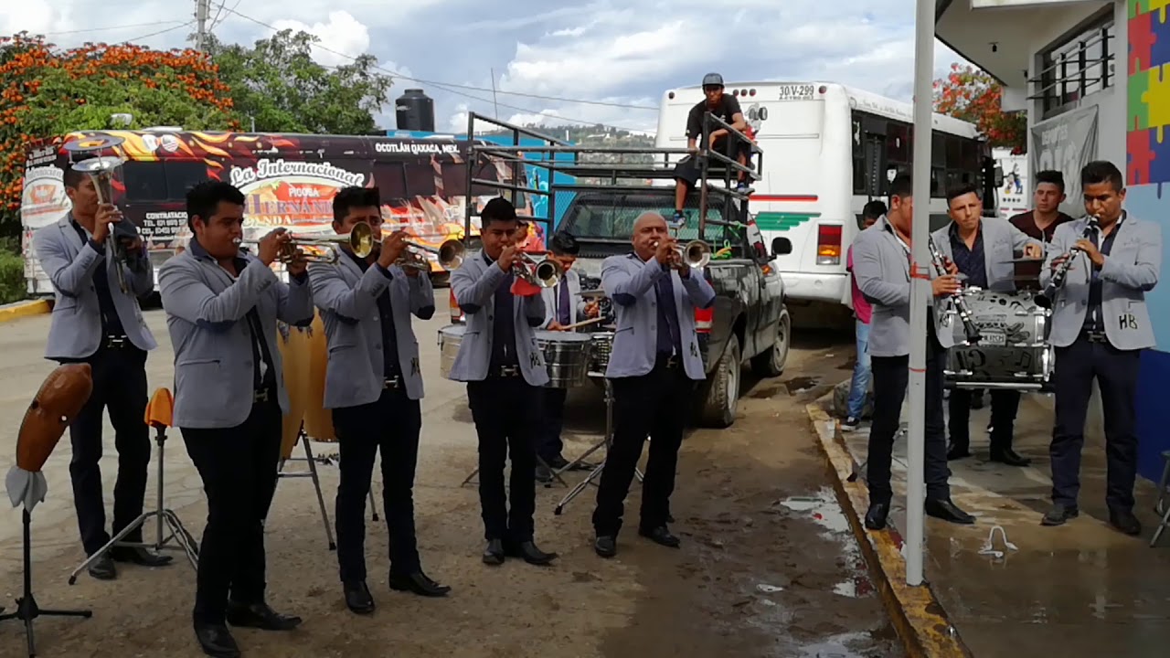 El Huizache (Instrumental) - La Picosa Hernández Banda