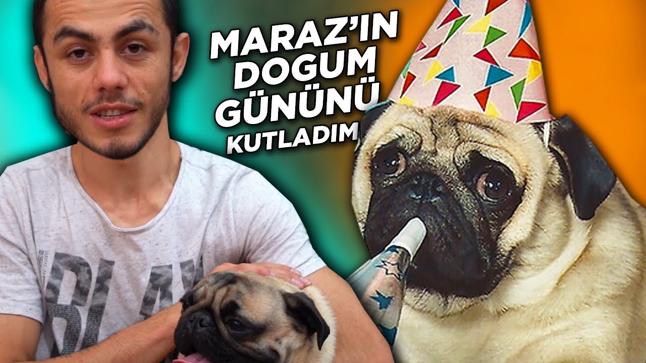 Kopegim Maraz In Dogum Gununu Kutladim Youtube