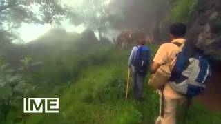 Cnn Explores Omans Dhofar Mountains And The Critically Endangered Arabian Leopard