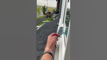 Person is petting a little bird that he found on his windowsill!