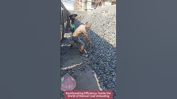 Backbreaking Efficiency: Inside the World of Manual Coal Unloading