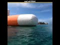 Most Funny Videos #shorts #facts