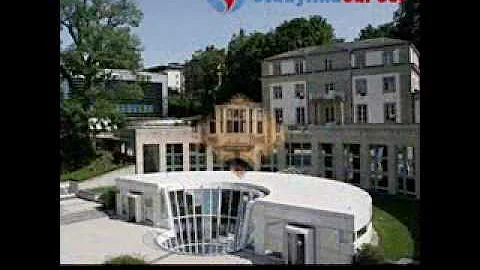 Top 10 Executive MBA Programs In The World