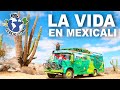 23 - LA VIDA EN MEXICALI