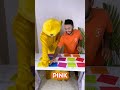 The colour challenge game #sbsvlog #challengegame
