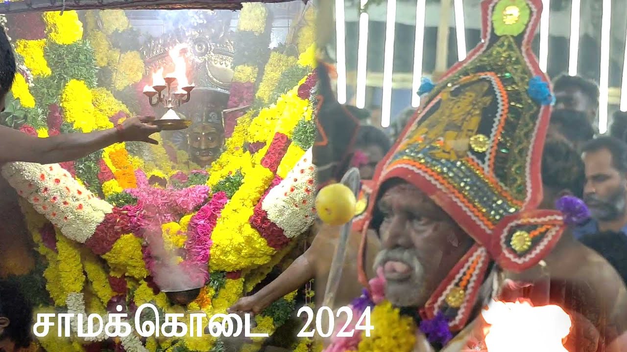 சாமக்கொடை 2024 🔥 | சாம்பவர்வடகரை சுடலைமாடசாமி திருக்கோவில்