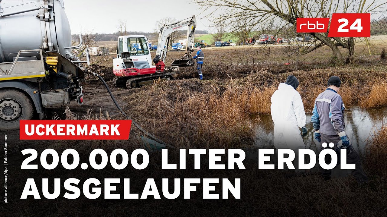 Öl-Leck nach Pipeline-Havarie in der Uckermark | rbb24 spezial
