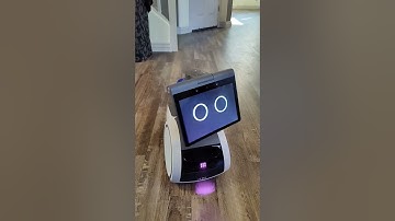 Astro Robot- Dance Robot Dance #robotic #robot #realrobot #astro #astrorobot #robotdance