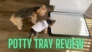 Potty Training Your Dog 101 | Indoor Potty Training | Part Three