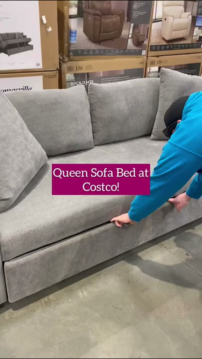 Sofa Bed at Costco!