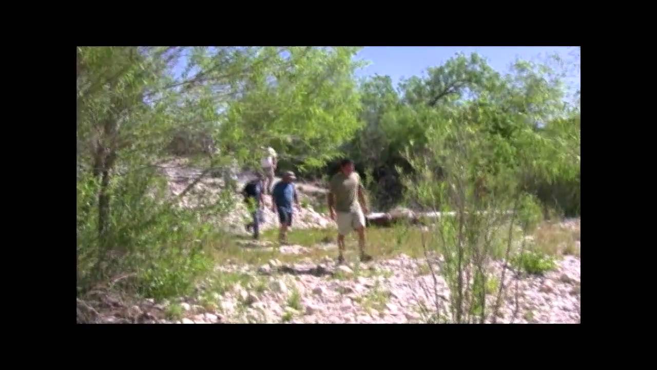 trans-pecos ridgewood ny 11385 Field Herping New Mexico