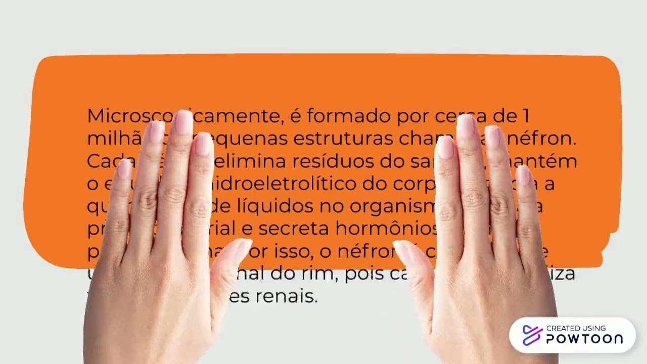 Sist. urinário /Renal