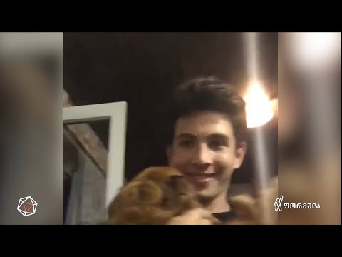 ტრაგედიის ექსპერტიზა