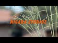 Ndi Nawe(official video) Herman Lamic 2020
