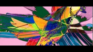 Flamingods - Jungle Birds [Official Music Video]