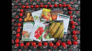 Our Favorite Vegetable Varieties for Great Success (2026) #36