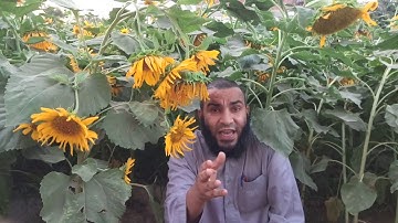 كيف نختم الصلاة .. أذكار بعد الصلاة .. ابو معاذ عبدالتواب