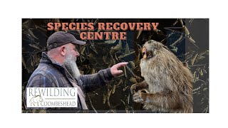 Celebration of the Species Recovery Centre at Derek Gow's Rewilding Coombeshead