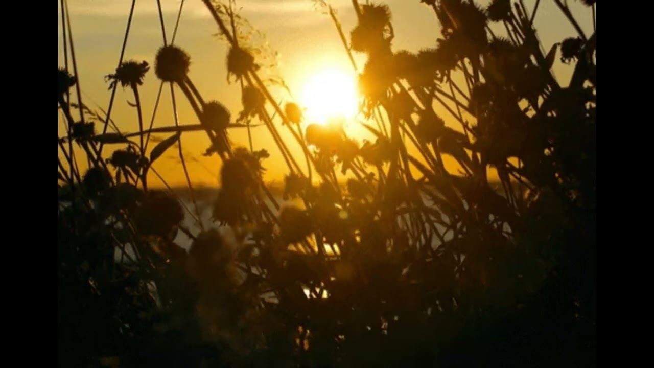 If I Had A Gun... - Noel Gallagher's High Flying Birds (Slowed & Reverb)