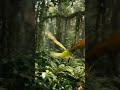 Parrot in a forest #calm #mindcleanse #focus #parrots