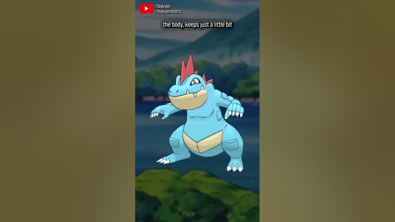 Totodile Is The Best And Most Adorable Starter Of Gen Ii I M Right Pokemon Review Youtube Totodile Is The Best And Most Adorable Starter Of Gen Ii I M Right Pokemon Review Youtube