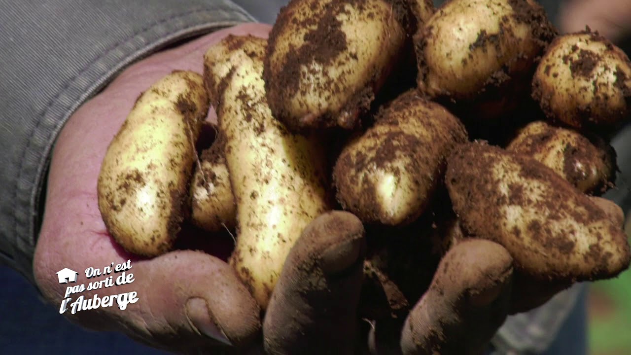 On n'est pas sorti de l'auberge n°28 : Producteur de pomme de terre