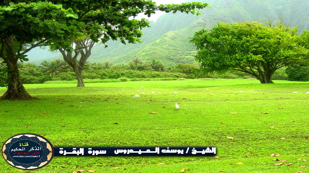 سورة البقرة يوسف العيدروس