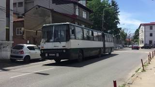 Autobuzul Ikarus 280 #2176(104) tranzitând strada “Mihai Bravu”