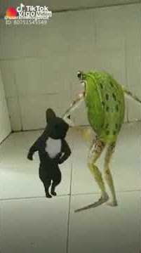 Joget kadal