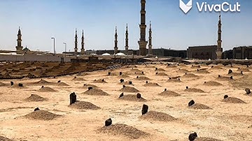 #تلاوة خارقة الشيخ محمد الباز
