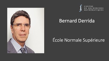 Bernard Derrida: Large deviation functions of the density and of the current for diffusive systems