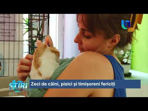 Zeci de câini, pisici și timișoreni fericiți
