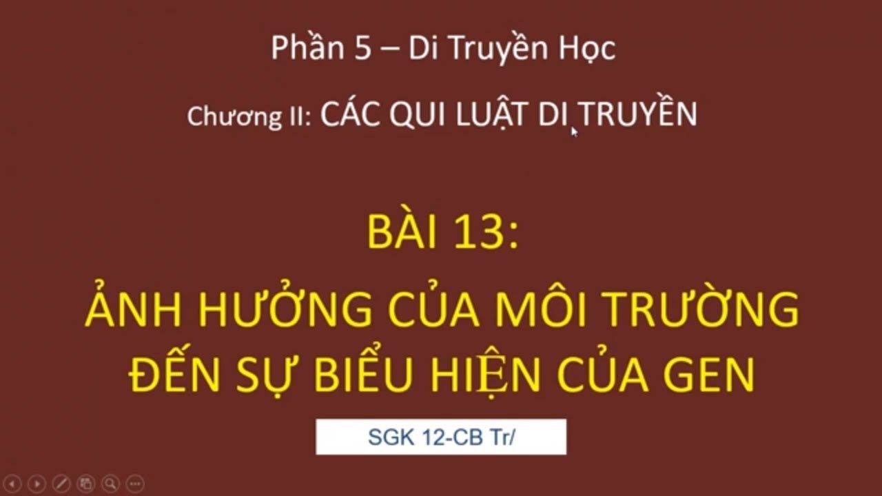 Sinh học 12. Bài 13. Ảnh hưởng của môi trường đến sự... - youtube
