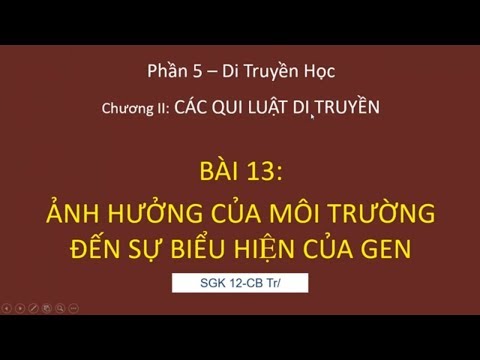 Video Sinh học 12. Bài 13. Ảnh hưởng của môi trường đến sự... - youtube