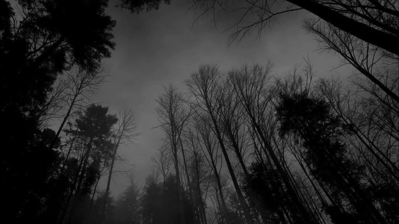 noevdv ~ want u (slowed & reverb) noevdv ~ want u (slowed & reverb)