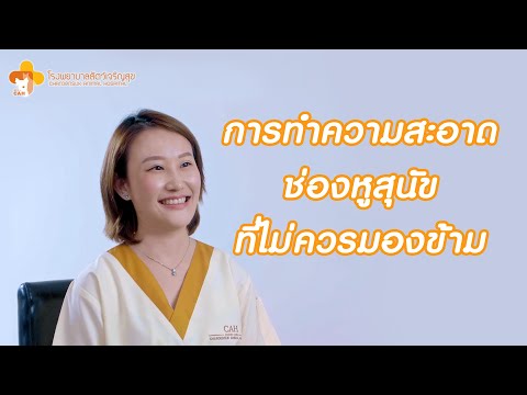 วีดีโอ: คำแนะนำด้านสัตวแพทย์เกี่ยวกับอาหารสุนัขโฮมเมด