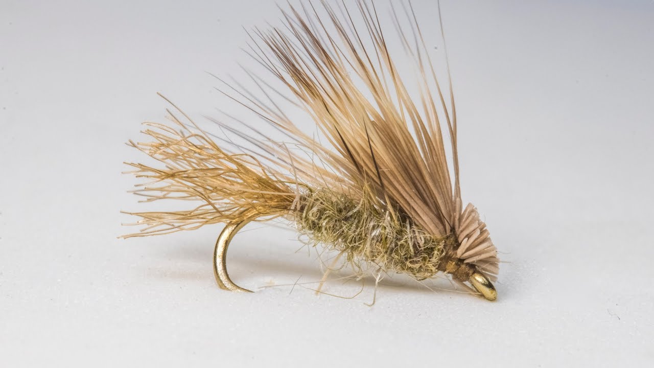 Fly Tying: X Caddis