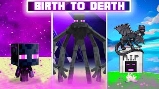 BIRTH TO DEATH Of The ENDERMAN In Minecraft (Hindi)