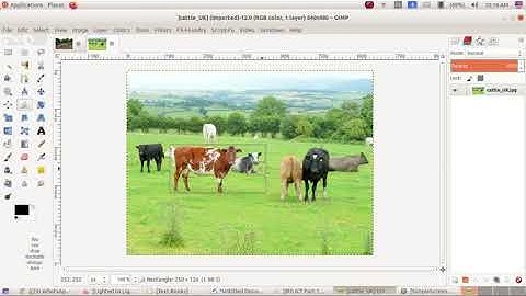 Image Editing using GIMP by Viju Jacob