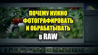 Почему НАДО снимать и обрабатывать фото в RAW!