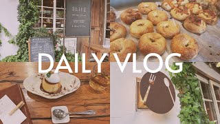vlog_A day in my life, IKEA HAUL, bagels, holidays where I wake up early and spend a productive day