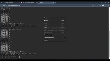 PicoCTF Binary Search - Walkthrough