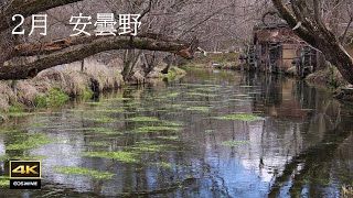 4K Azumino, which is waiting for spring, is also beautiful / Natural scenery, murmurs, birdsong by kazephoto _ 4 K 癒しの自然風景 7,801 views 2 months ago 2 hours, 50 minutes