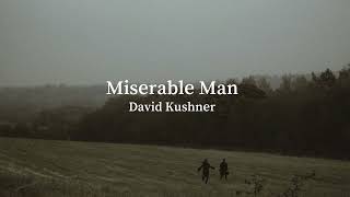 Video voorbeeld van "David Kushner - Miserable Man (slowed+reverb)"