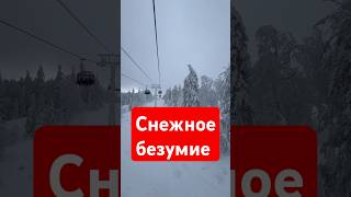 Снежное безумие 🏔️ #природа #снег #горы