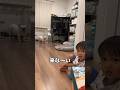 3歳児が愛犬に絶望して号泣…子供嫌いの元保護犬と3歳児 #shorts #フレンチブルドッグ #保護犬