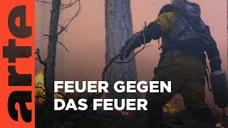 Download Lagu Geliebtes Korsika: Kampf gegen das Feuer | GEO Reportage | ARTE Family MP3 Download Lagu Geliebtes Korsika: Kampf gegen das Feuer | GEO Reportage | ARTE Family MP3