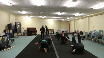 Bujinkan Ninjutsu, 7th Kyu, part 8 - koho kaiten, katate